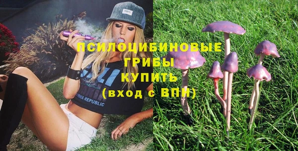 спайс Богородицк